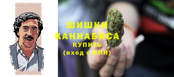 гидра Пестово