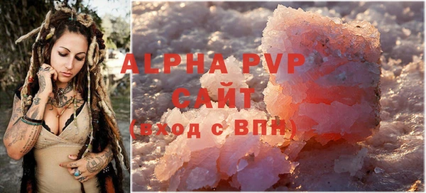 гидра Пестово