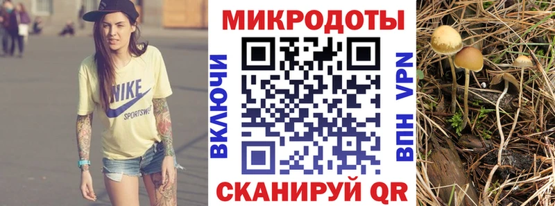 Псилоцибиновые грибы прущие грибы  Купить закладки  Октябрьский 